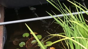 Splinterverse Day 4 — Part 2