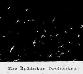 The Splinter Orchestra album cover